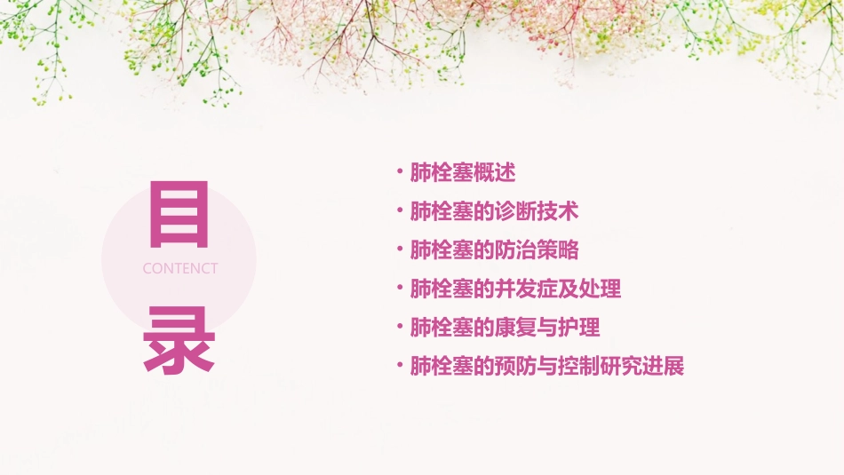 肺栓塞的诊断及防治策略课件_第2页