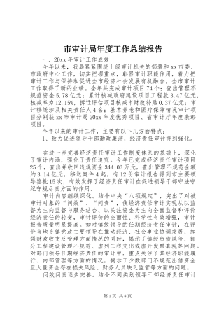 市审计局年度工作总结报告 