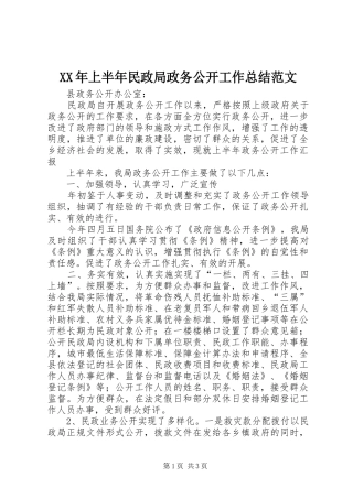 XX年上半年民政局政务公开工作总结范文