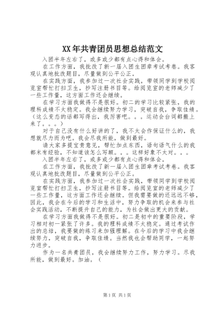 XX年共青团员思想总结范文