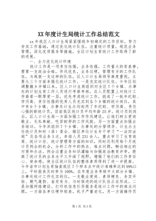 XX年度计生局统计工作总结范文