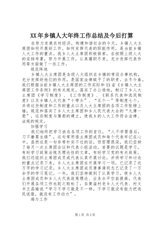 XX年乡镇人大年终工作总结及今后打算