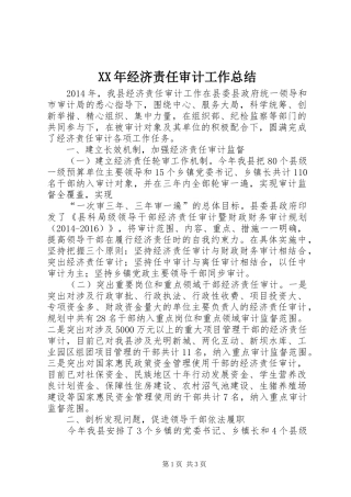 XX年经济责任审计工作总结