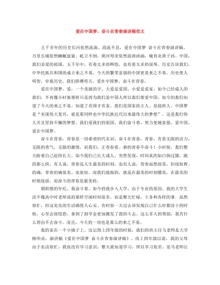 爱在中国梦，奋斗在青春演讲稿范文 