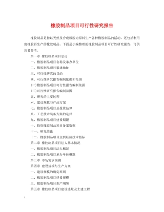 橡胶制品项目可行性研究报告 