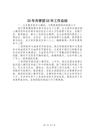 XX年共青团XX年工作总结