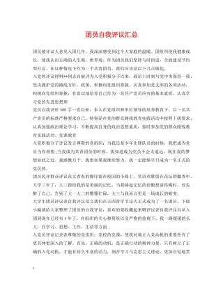 团员自我评议汇总 