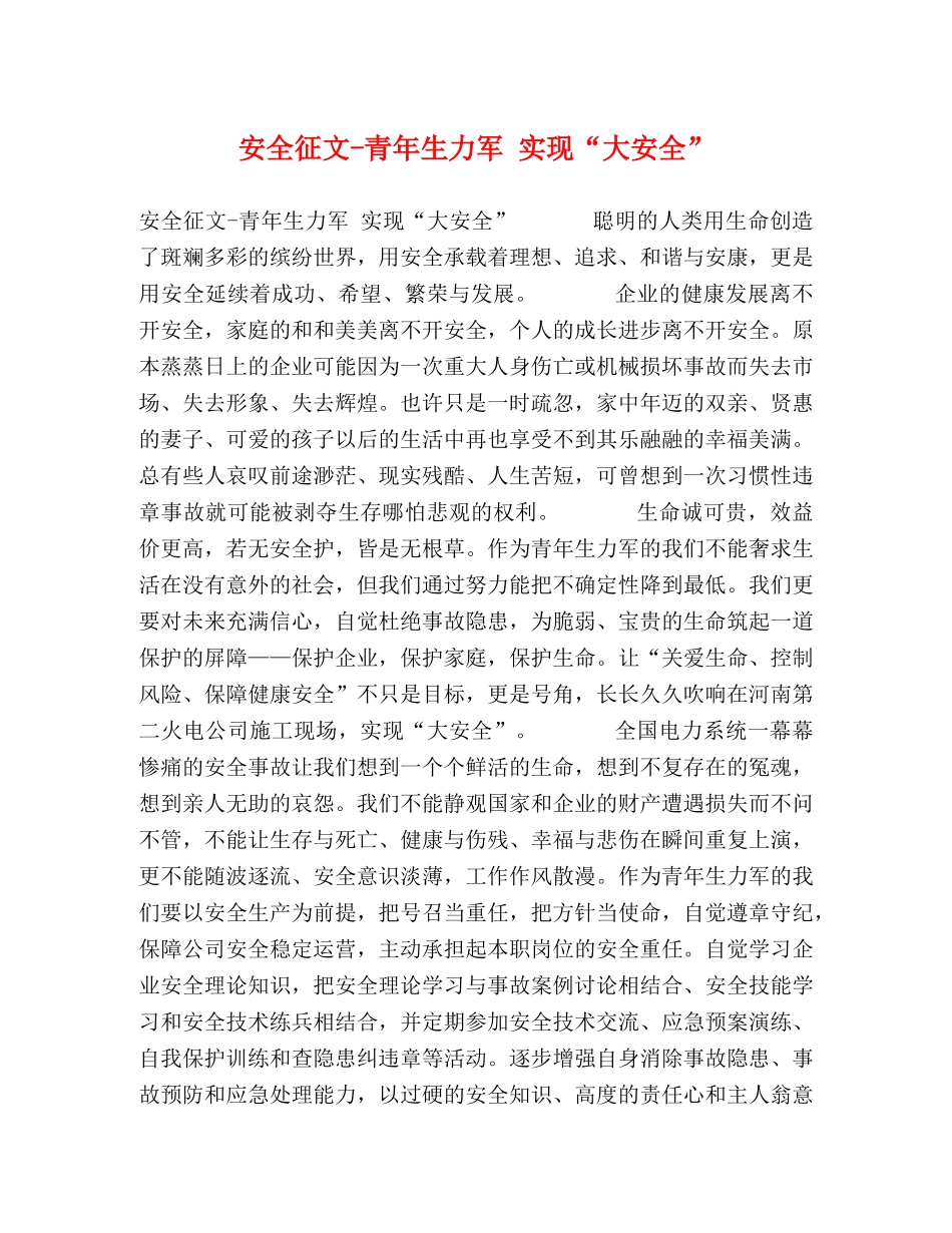 安全征文-青年生力军 实现“大安全” _第1页