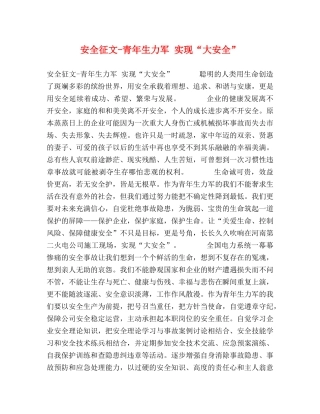 安全征文-青年生力军 实现“大安全” 
