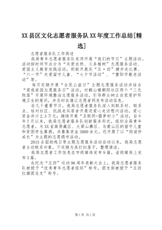 XX县区文化志愿者服务队XX年度工作总结[精选]