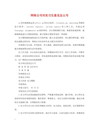 网络公司对实习生意见怎么写 