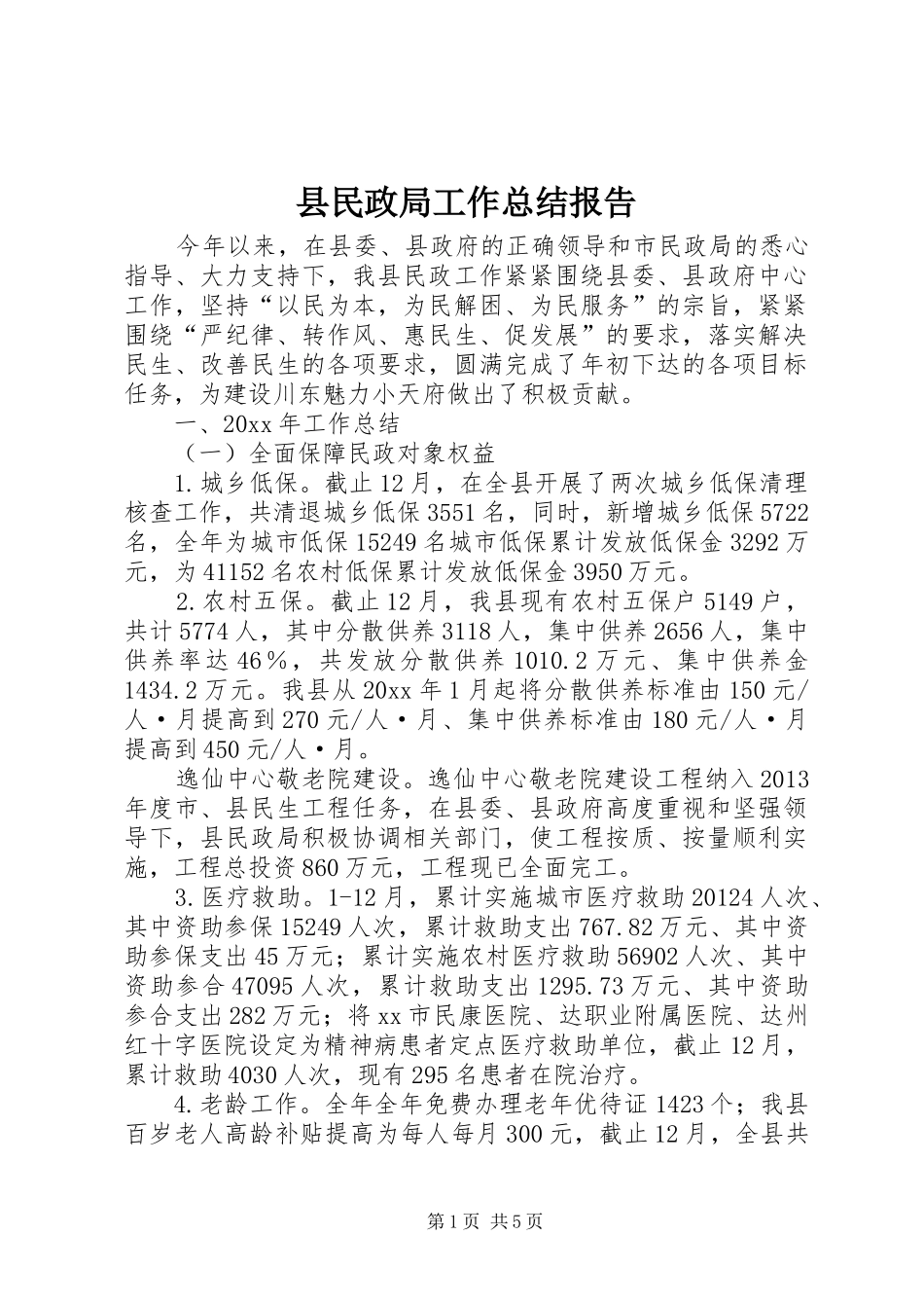 县民政局工作总结报告 _第1页