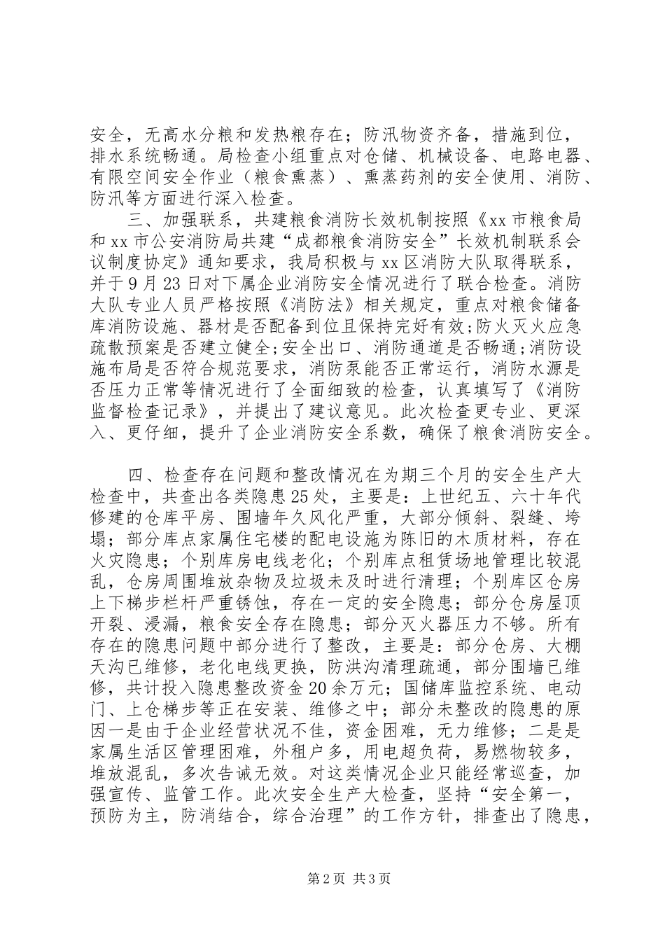 XX年粮食局安全生产大检查工作总结_第2页