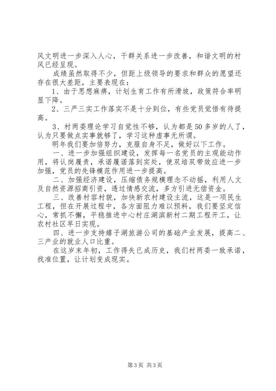 XX年度某村工作总结_第3页
