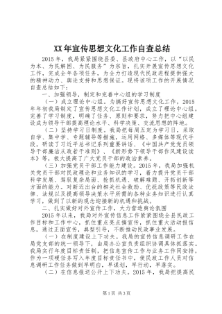 XX年宣传思想文化工作自查总结