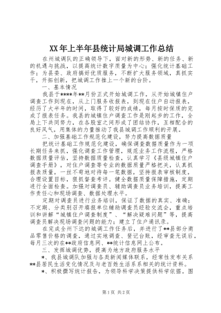 XX年上半年县统计局城调工作总结