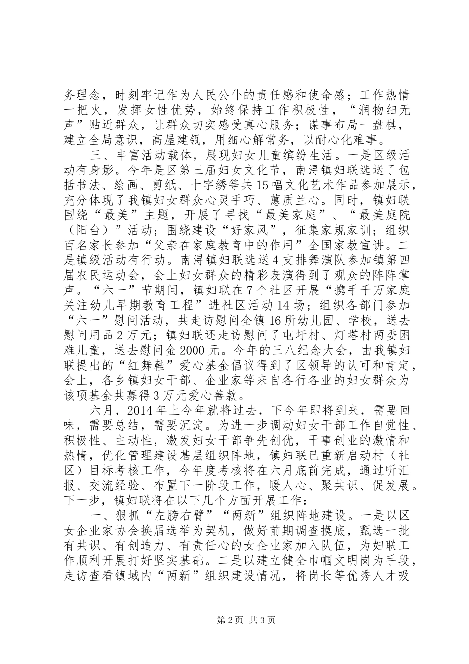XX年乡镇妇联工作总结 (16)_第2页