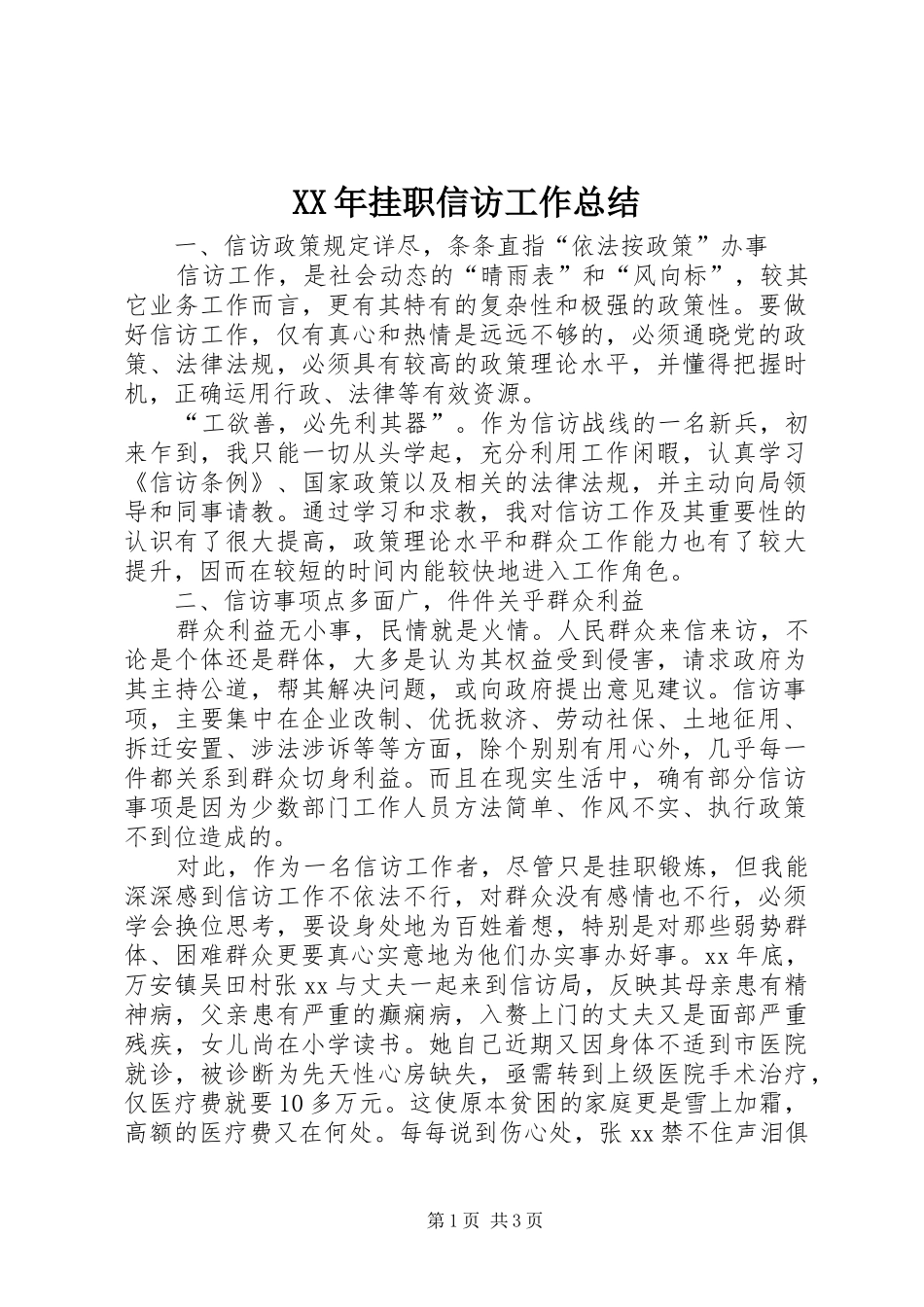 XX年挂职信访工作总结_第1页