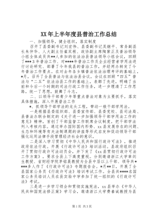 XX年上半年度县普治工作总结