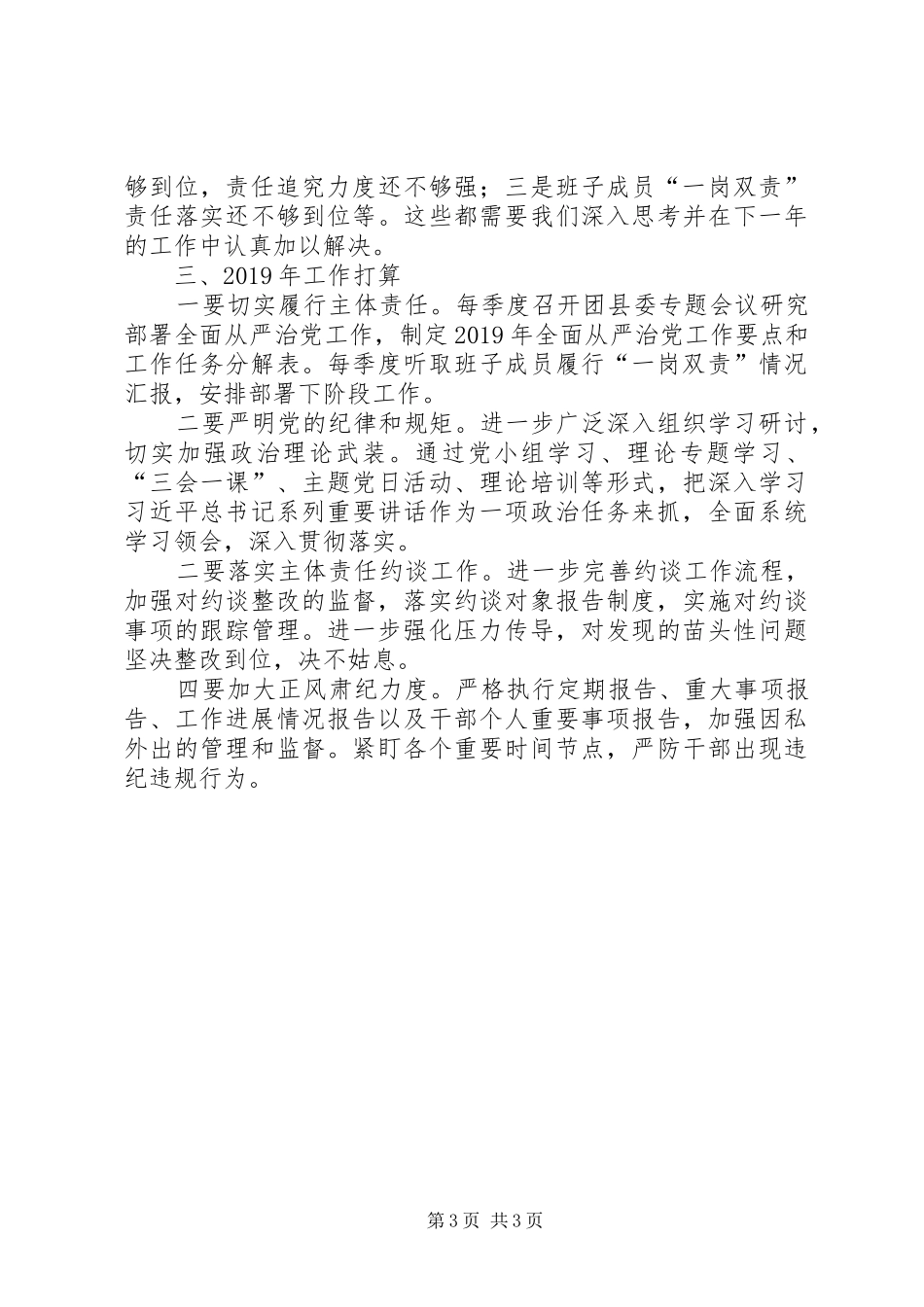 XX年团县委从严治党工作总结_第3页