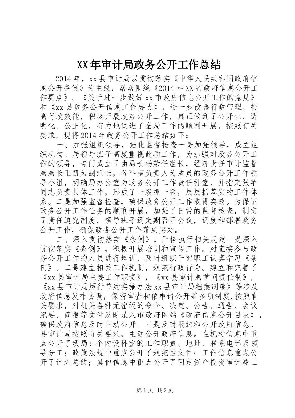 XX年审计局政务公开工作总结_第1页