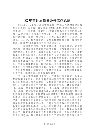 XX年审计局政务公开工作总结