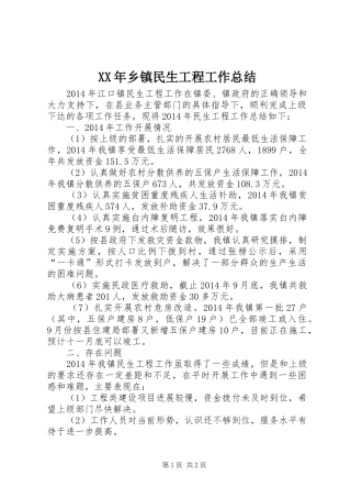 XX年乡镇民生工程工作总结