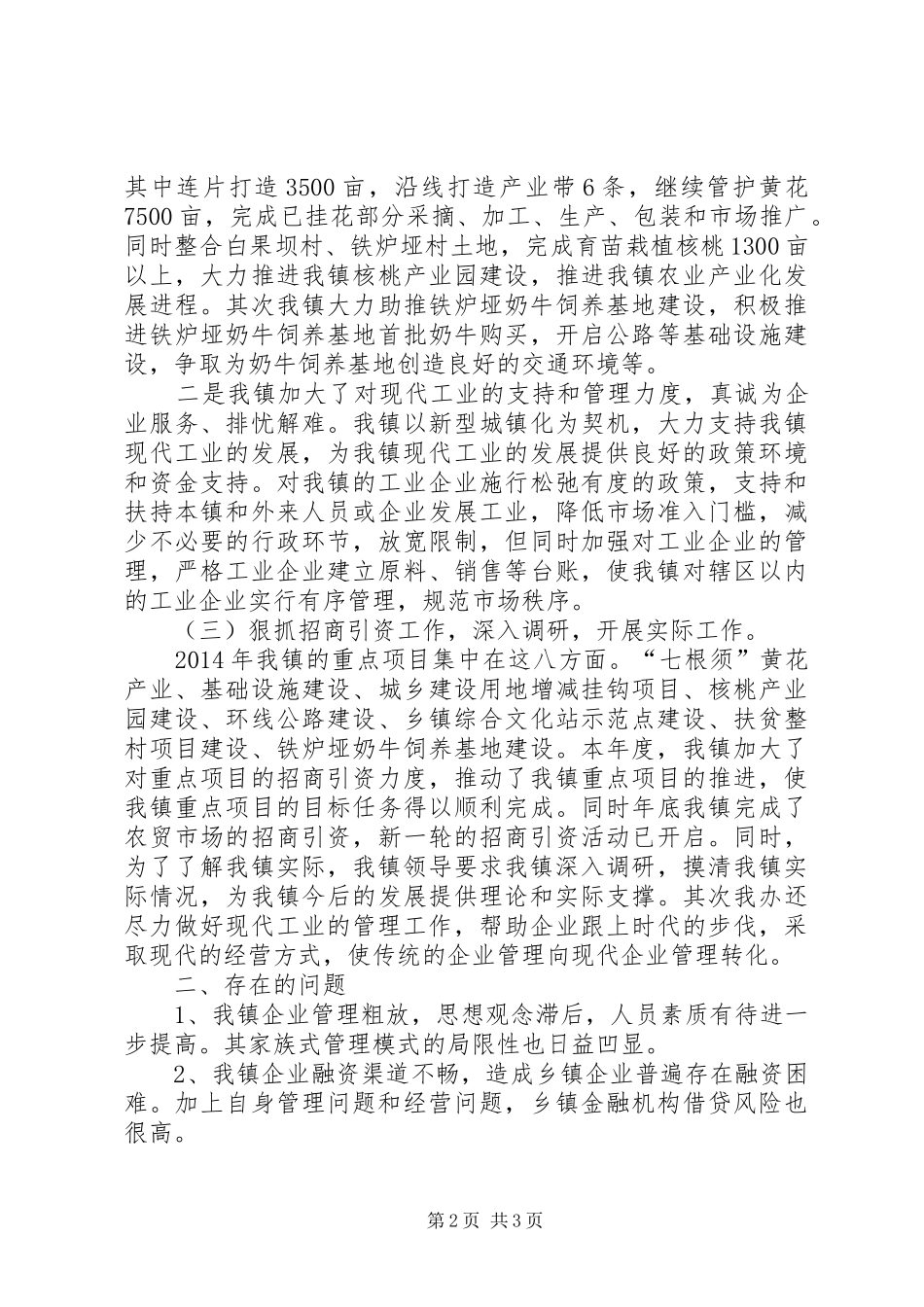 XX年镇企业工作总结_第2页