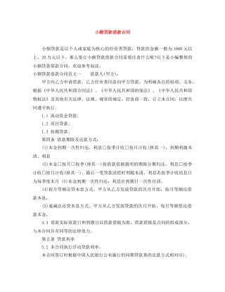 小额贷款借款合同 