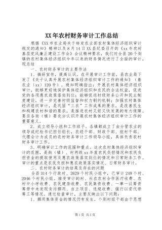 XX年农村财务审计工作总结