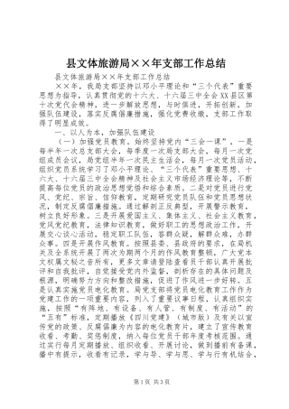 县文体旅游局××年支部工作总结 