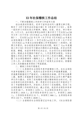 XX年社保稽核工作总结