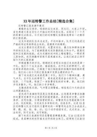 XX年巡特警工作总结[精选合集]