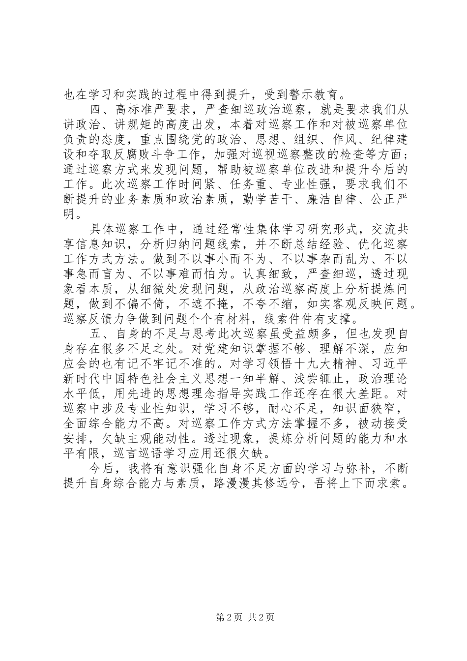 XX年市委专项巡查组巡查员个人工作总结_第2页