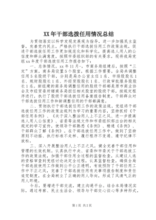 XX年干部选拨任用情况总结