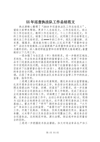 XX年巡查执法队工作总结范文