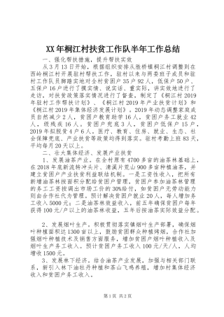 XX年桐江村扶贫工作队半年工作总结