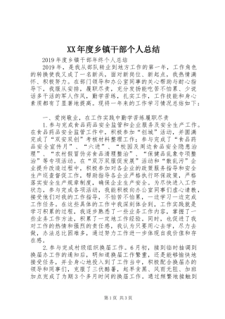 XX年度乡镇干部个人总结