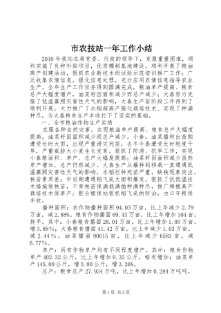 市农技站一年工作小结 