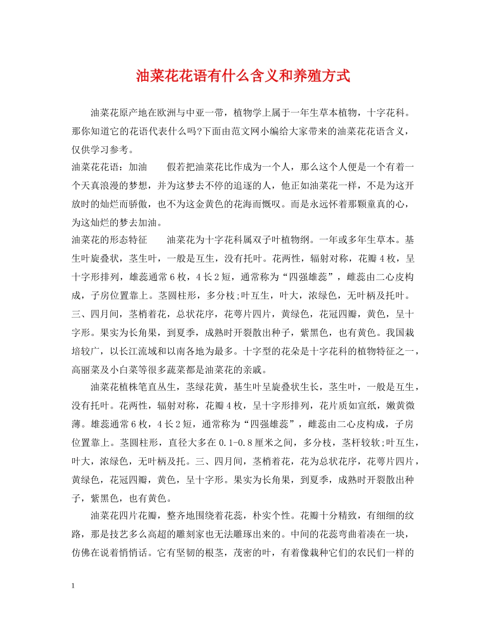 油菜花花语有什么含义和养殖方式 _第1页