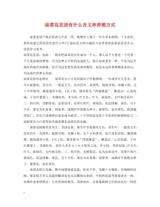 油菜花花语有什么含义和养殖方式 