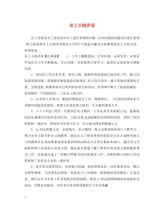 员工小组评语 