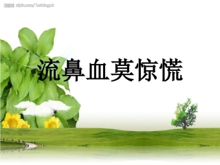 流鼻血莫惊慌