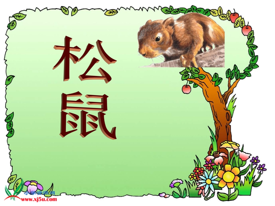北师大版三年级语文下册《松鼠2》PPT课件_第3页