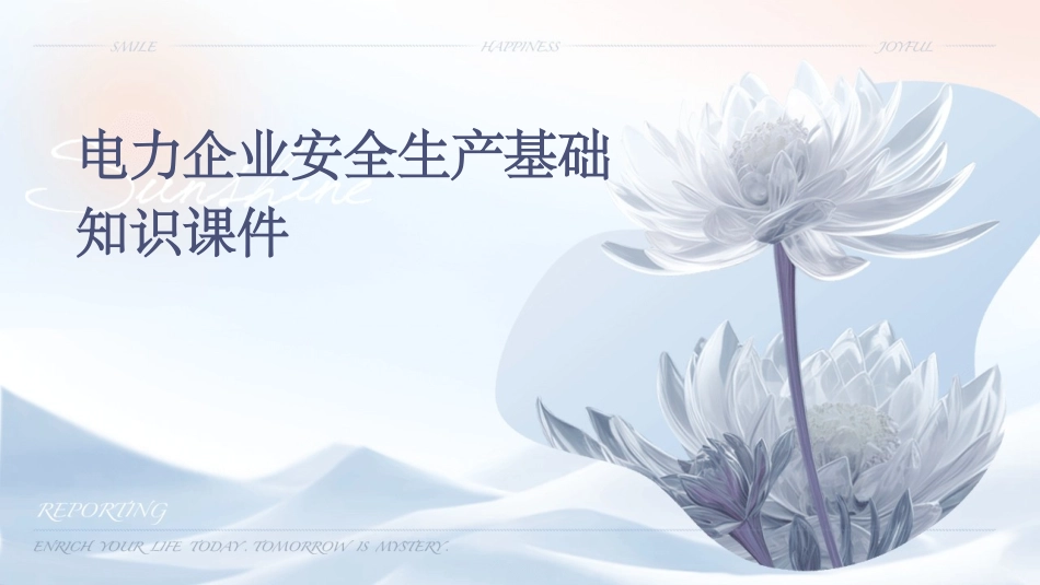 电力企业安全生产基础知识课件_第1页