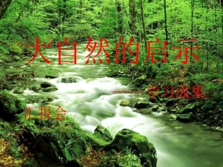 (语文口语交际)大自然的启示