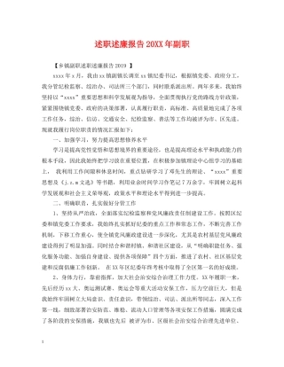 述职述廉报告20XX年副职 