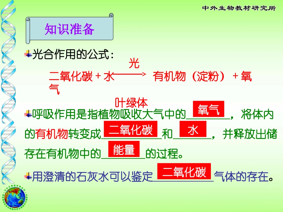 植物的呼吸作用_第3页
