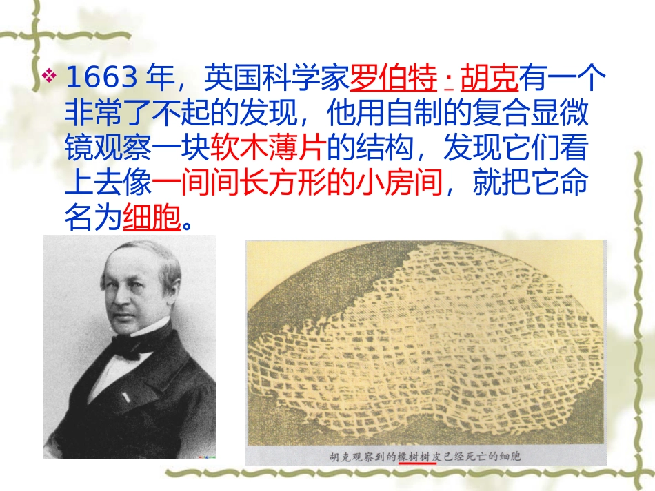 用显微镜观察身边的生命世界(一)_2_第3页