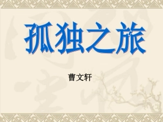 孤独之旅（陈）